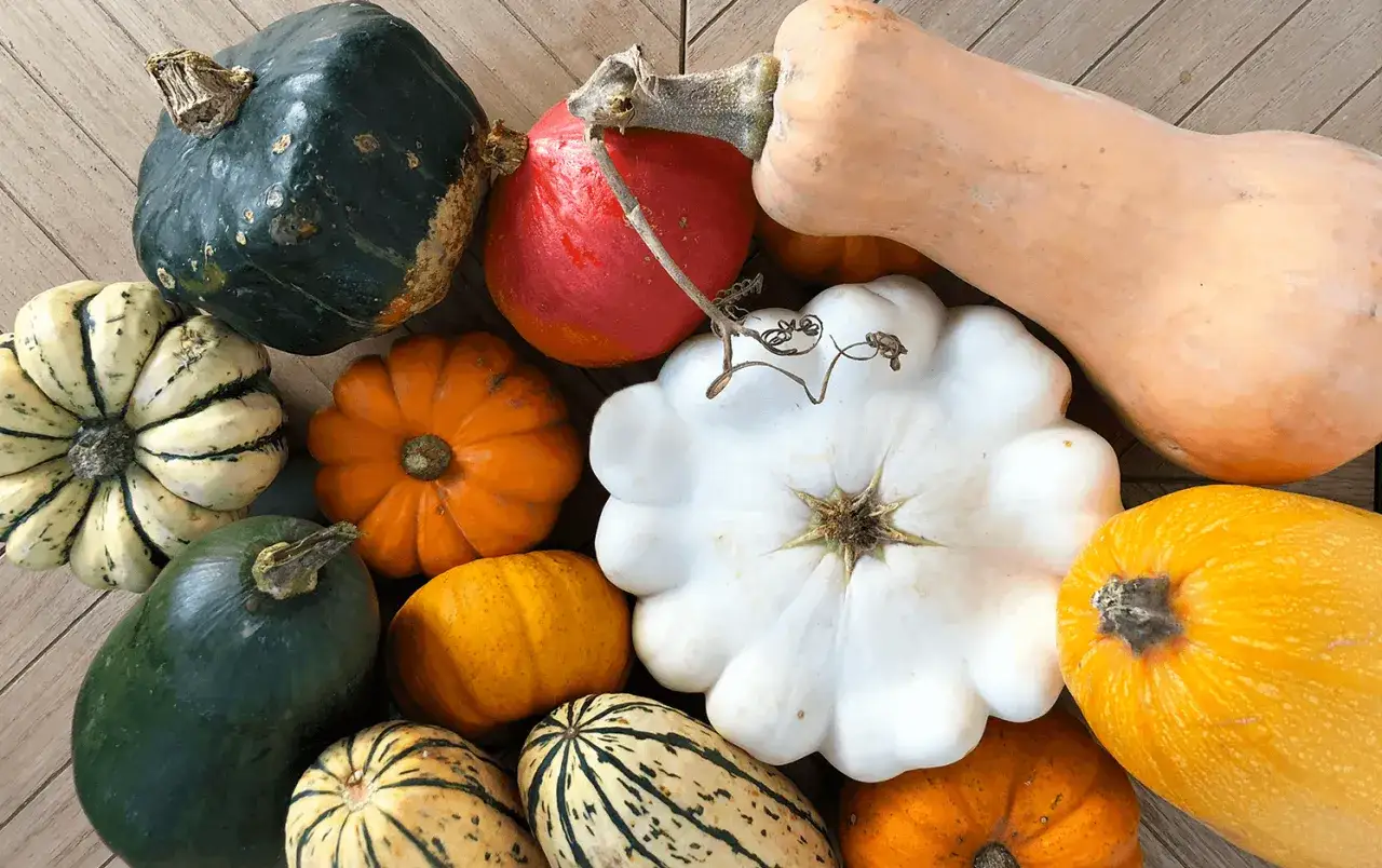 Différents types de courges pour rôtir