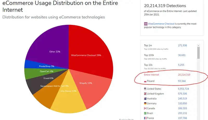 przykłady popularnych sklepów internetowych w Polsce