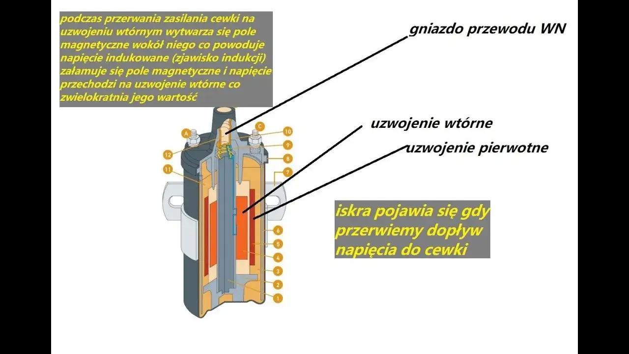 cewka zapłonowa skuter budowa