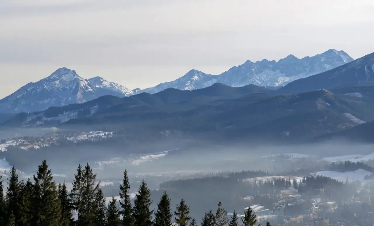 Widok na Tatry z Zakopanego. Majestatyczne szczyty g&oacute;rskie, pokryte śniegiem, wznoszą się nad lasami i mglistą doliną.