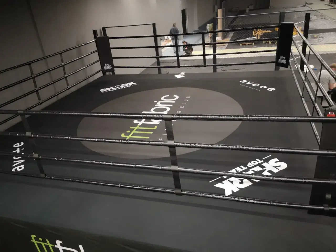 boks zawodowy ring