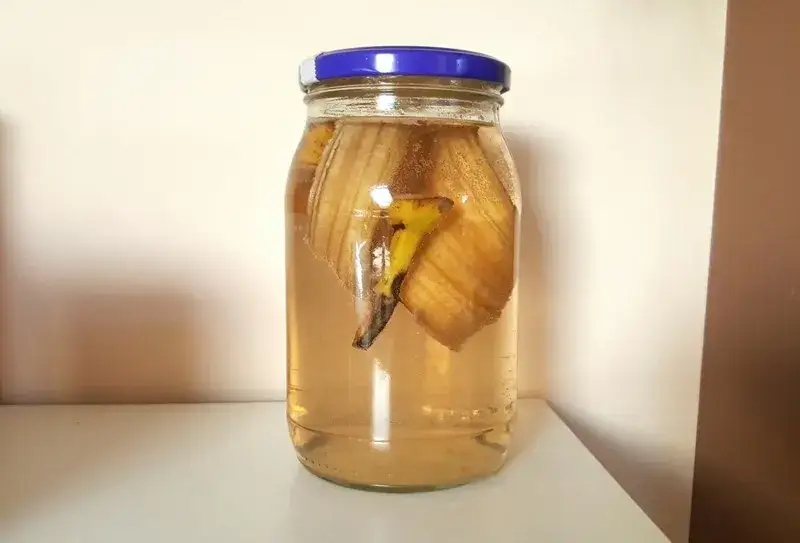 skórki bananów w słoiku woda nawóz
