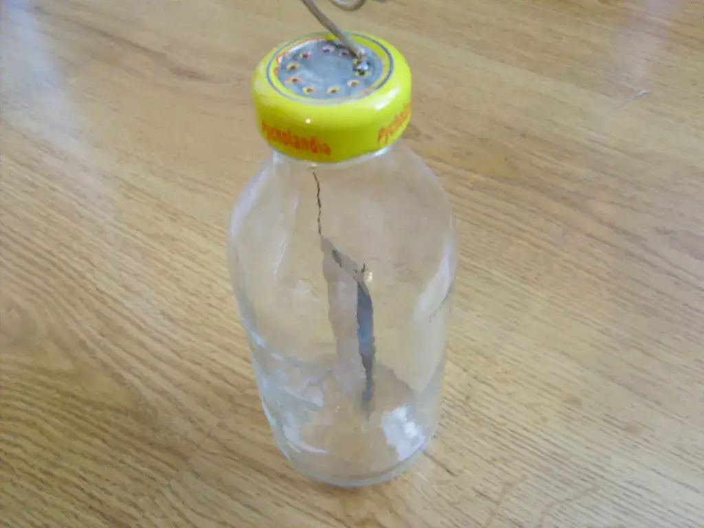 materiały do budowy elektroskopu z butelki