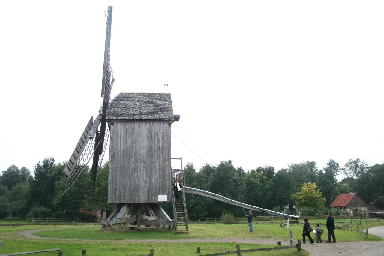 Wiatraki koźlaki Tokarnia