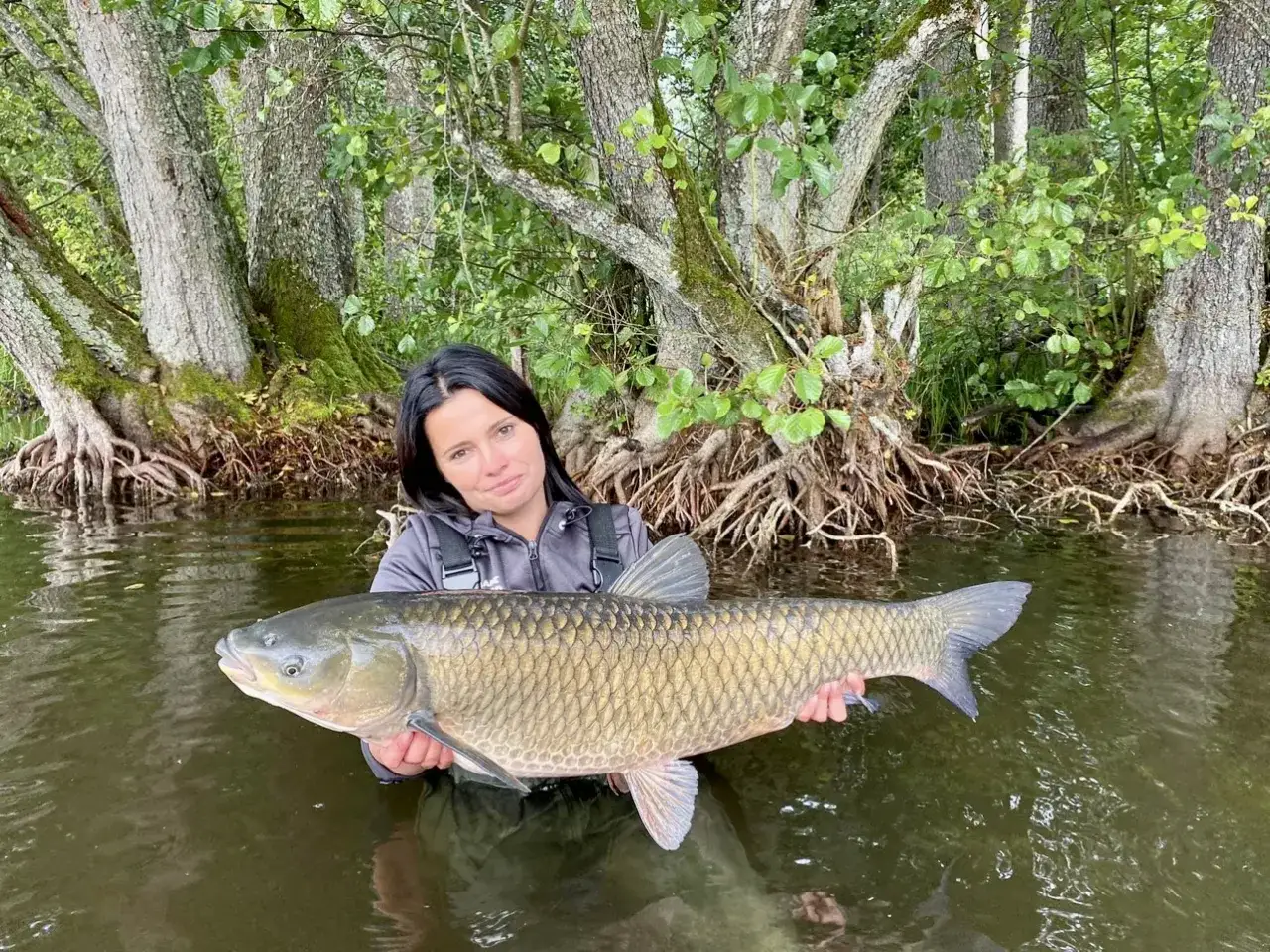 sprzęt do łowienia amura na spławik