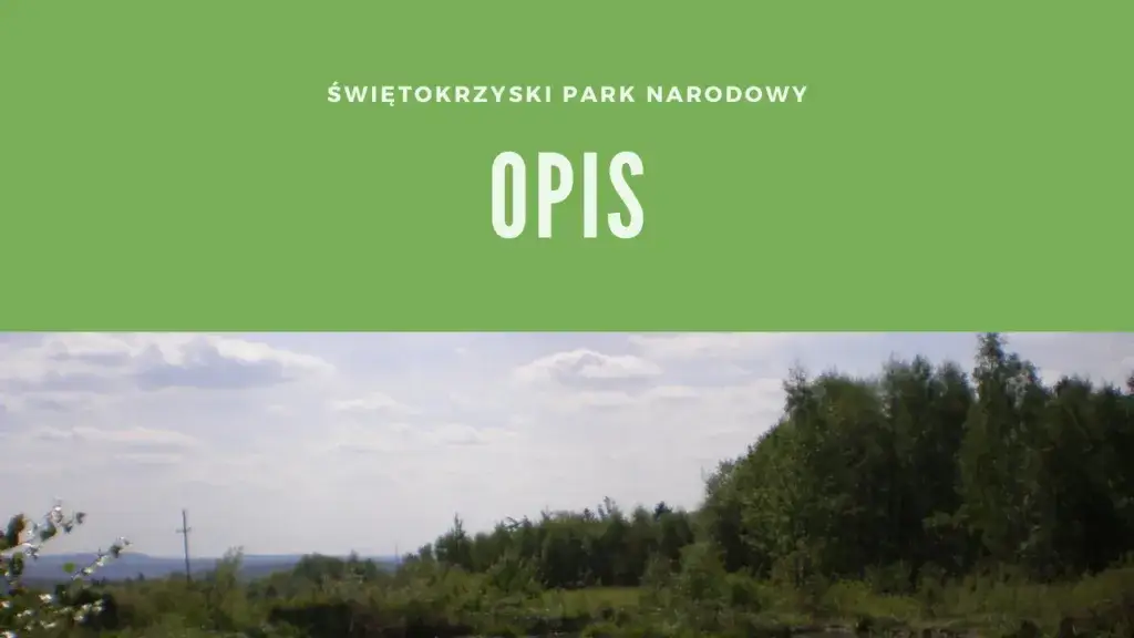 Zdjęcie Gdzie leży świętokrzyski park narodowy? Odkryj jego ukryte skarby