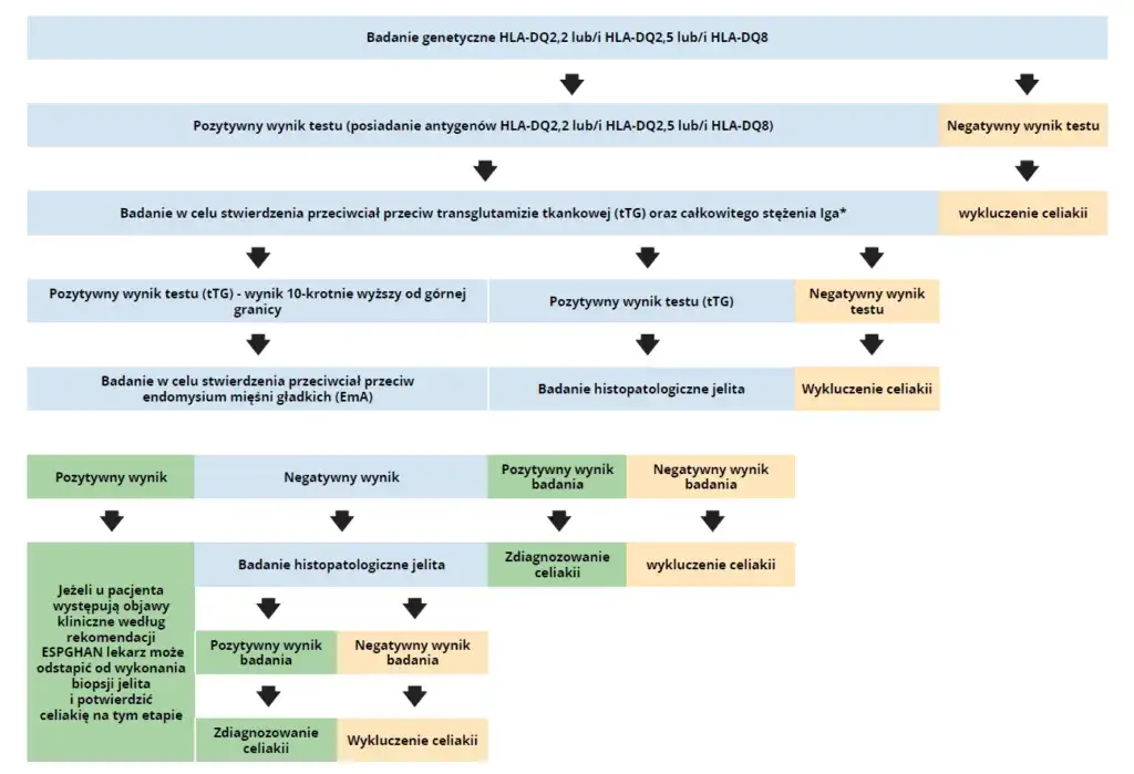 diagnostyka celiakii schemat, badania krwi na gluten