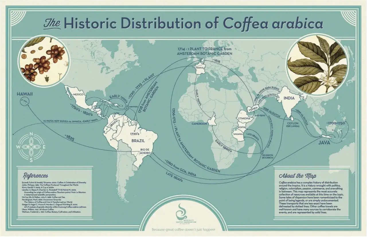 Mapa pokazuje historyczne szlaki rozprzestrzeniania się kawy arabiki, ukazując, skąd pochodzi kawa i jak trafiła na cały świat.