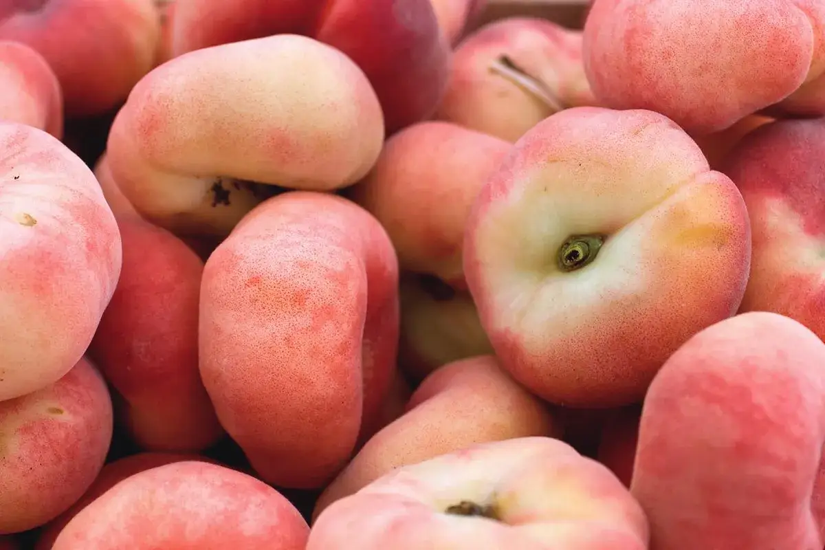 Tipi di pesche per dolci