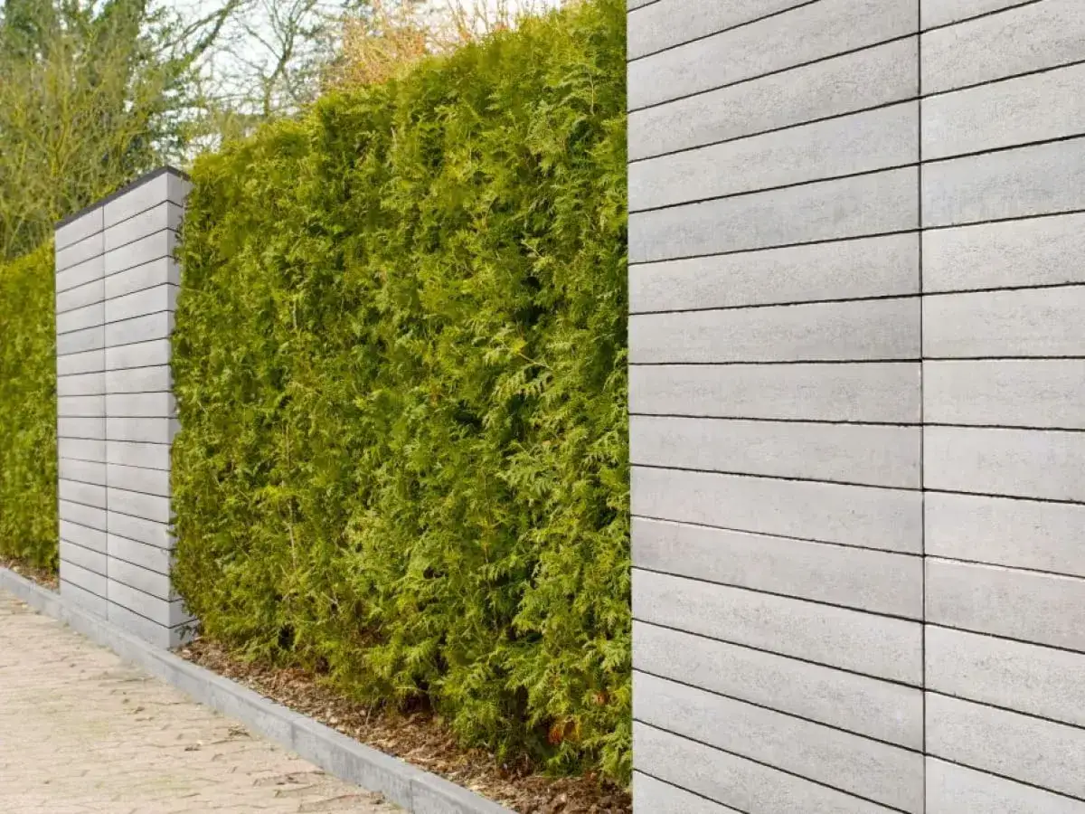 Nieestetyczne betonowe ogrodzenie przed metamorfozą