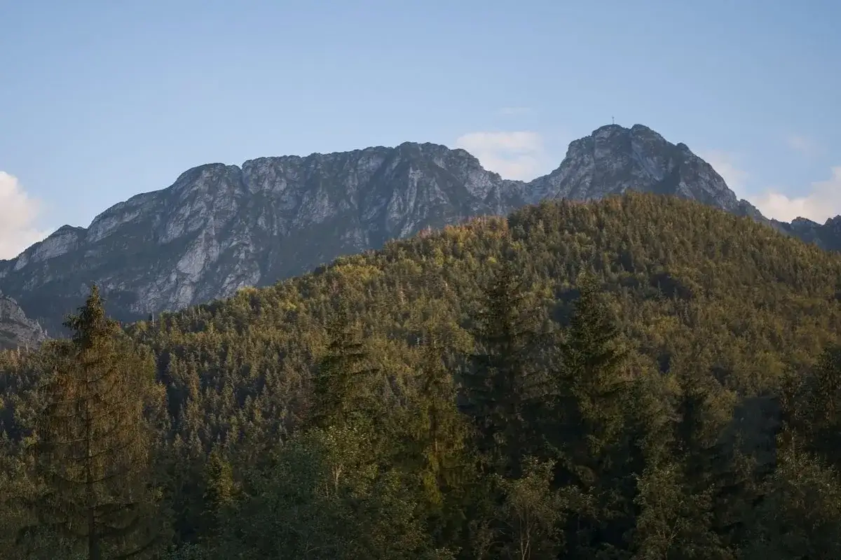 Giewont, śpiący rycerz Tatr, spogląda z góry na gęsty las.