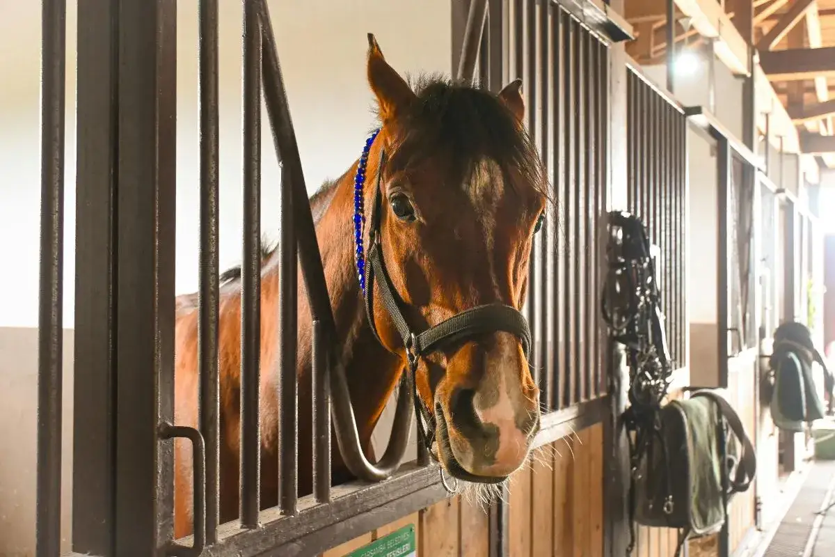 montaż drzwi stajennych schemat