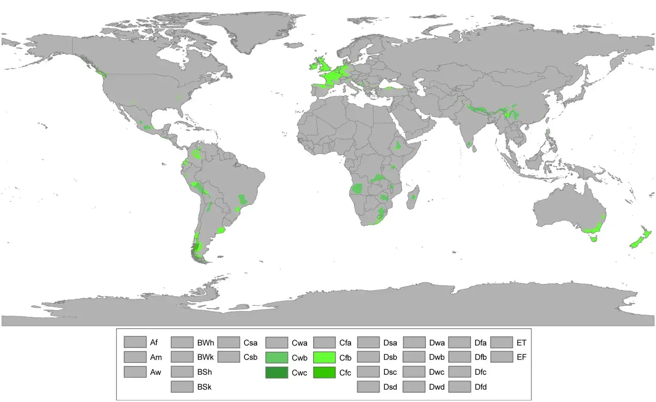 mapa klimatu morskiego na świecie