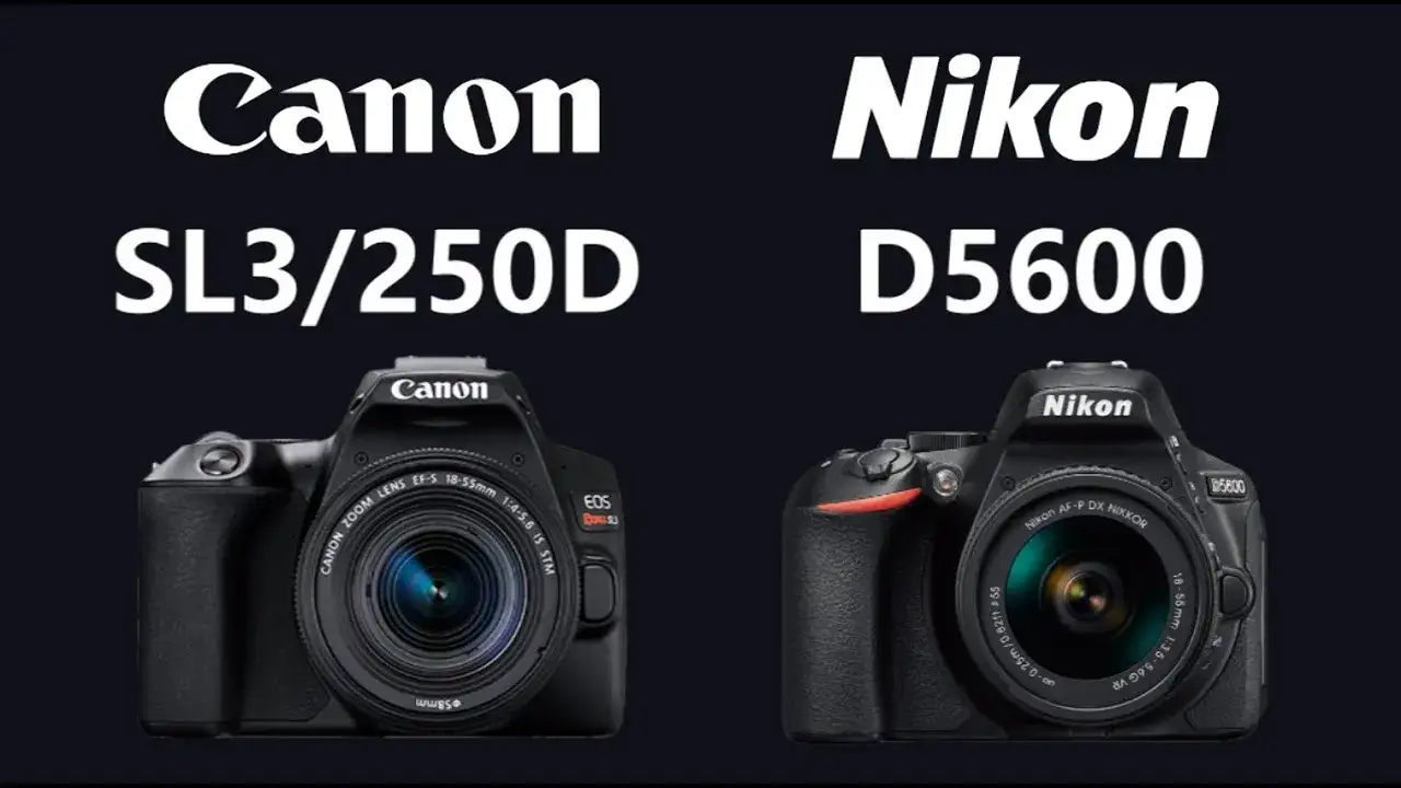 canon 250d vs nikon d5600