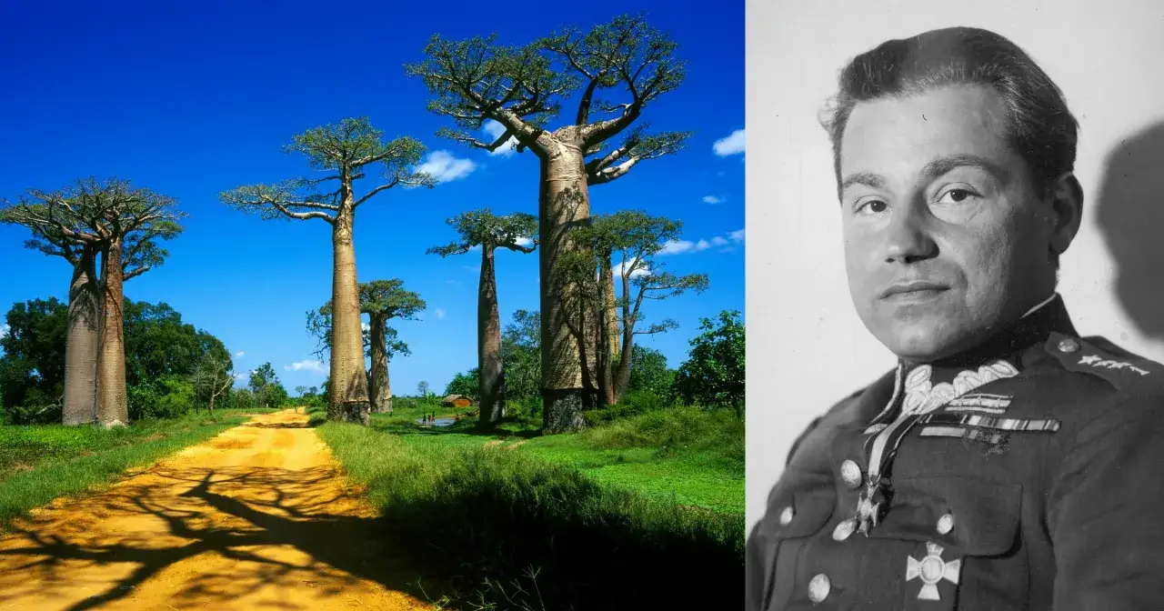 misja Lepeckiego Madagaskar