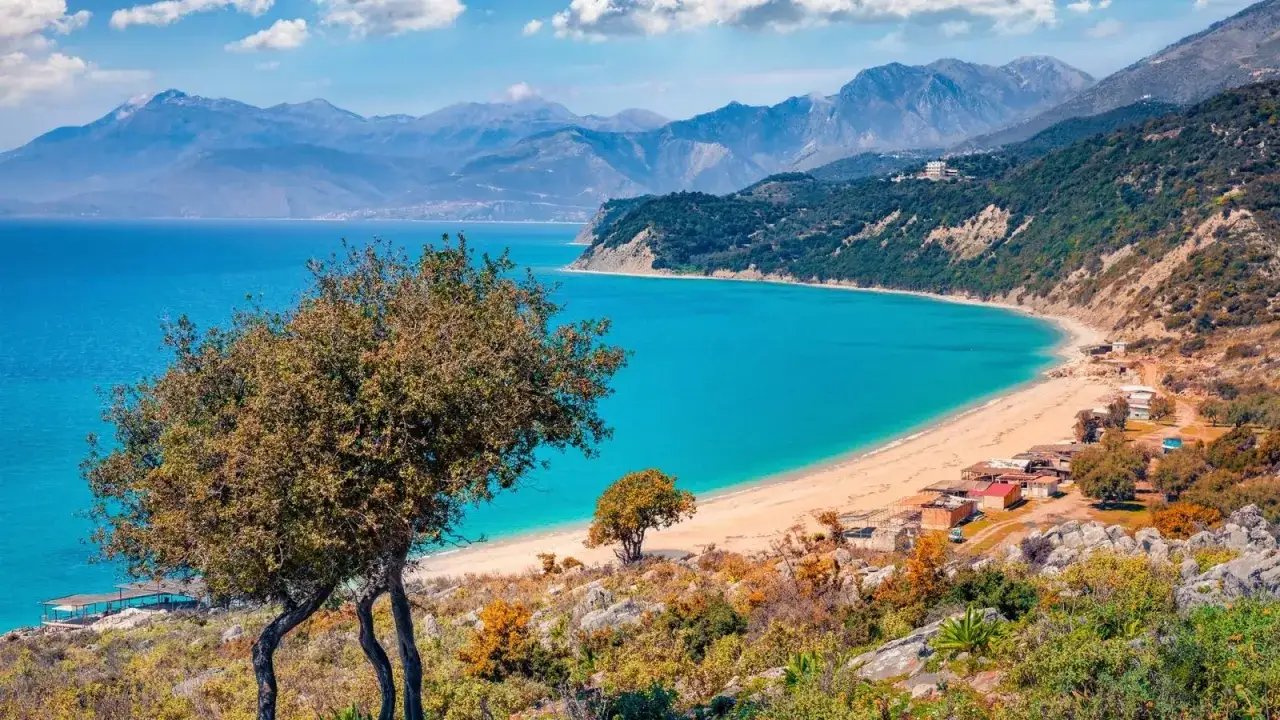 Malownicza zatoka z turkusową wodą i piaszczystą plażą, otoczona zielonymi wzgórzami i górami. W oddali widać niewielkie zabudowania, typowe dla **albania miasta** nad morzem.