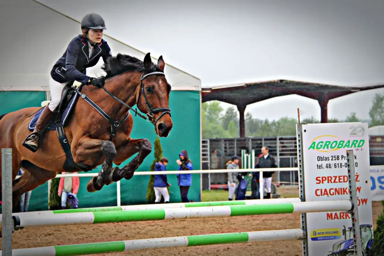 Jeździec na koniu pokonuje przeszkodę na zawodach w stadninie koni w Udorzu.