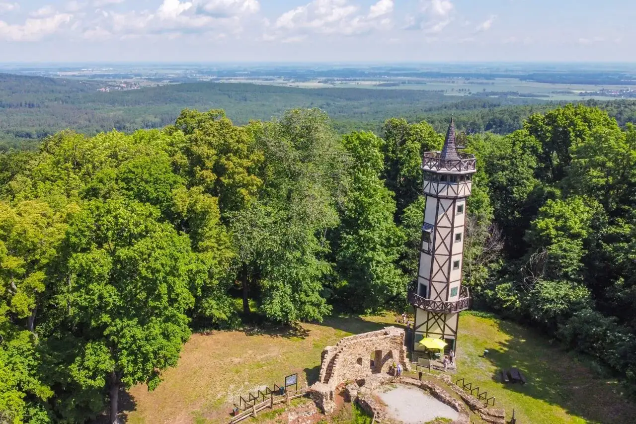 Wieża widokowa i ruiny zamku na wzgórzu, otoczone lasem. Piękny widok na okoliczne góry blisko Wrocławia.