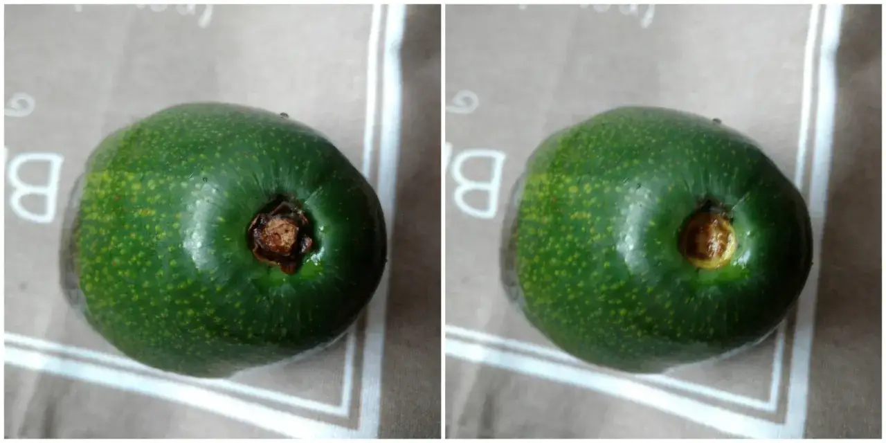 Dwa zielone awokado, idealne do guacamole, leżą na jasnym tle z białymi literami 