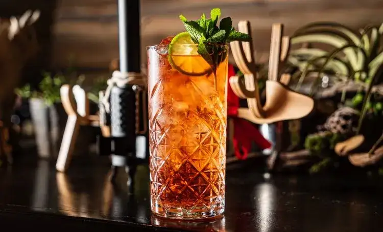 Zdjęcie Pyszne drinki z likierem miętowym, które zaskoczą Twoich gości