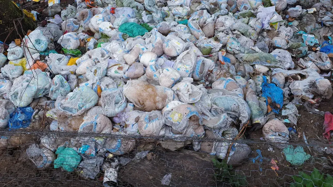 Zdjęcie Do jakich odpadów zaliczamy pampersy? Uniknij błędów w segregacji