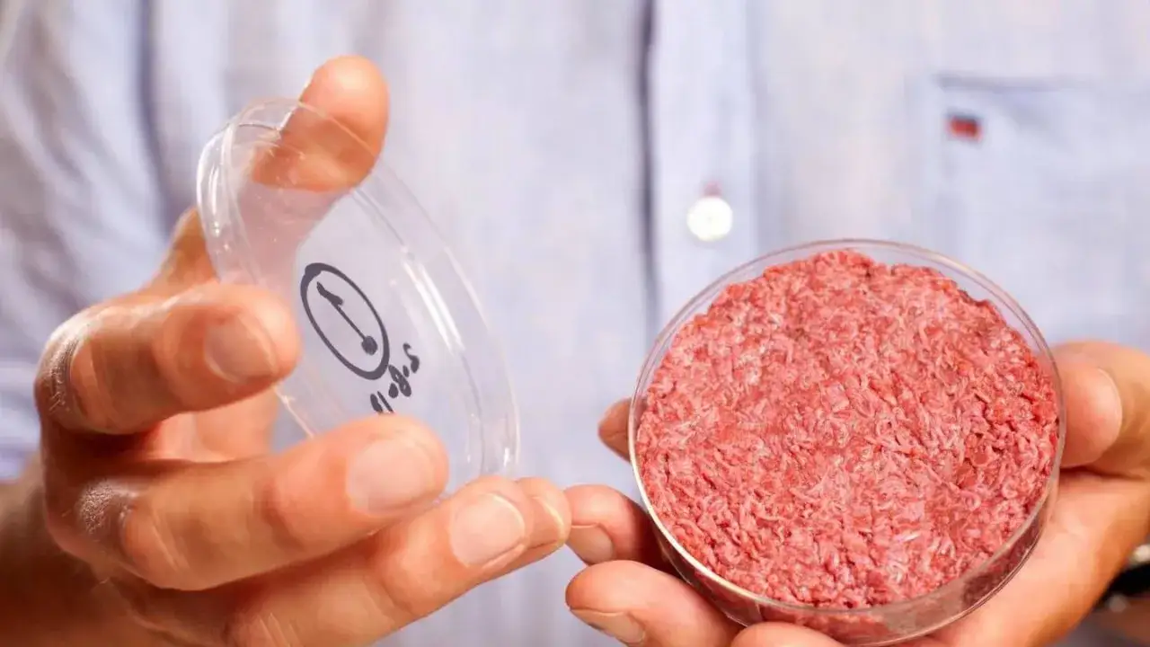 Zdjęcie Mięso z laboratorium gdzie kupić? Sprawdź, dlaczego jeszcze nie ma go w Polsce