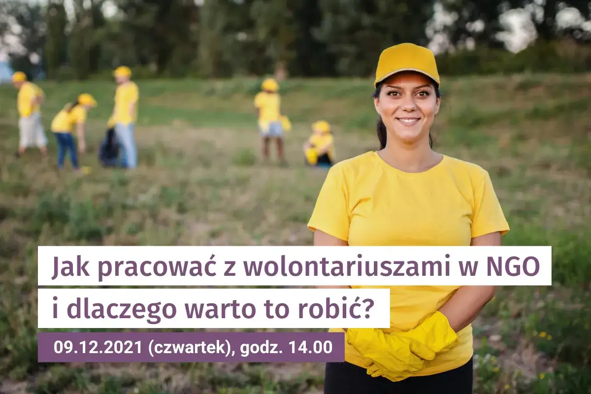 Zdjęcie Wolontariat w NGO – co to jest i jakie daje możliwości?