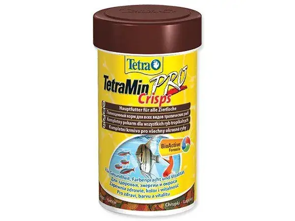 Zdjęcie Co jedzą skalary? Odkryj najlepsze pokarmy dla zdrowych ryb