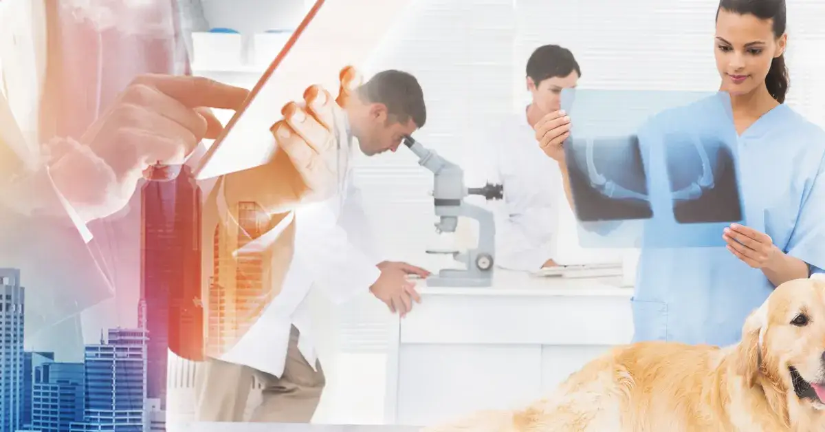 Zdjęcie Jak zwracać się do weterynarza, by zbudować profesjonalną relację