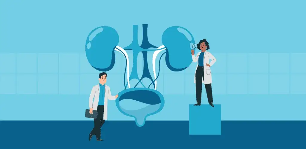 Porównanie objawów urologicznych i nefrologicznych grafika