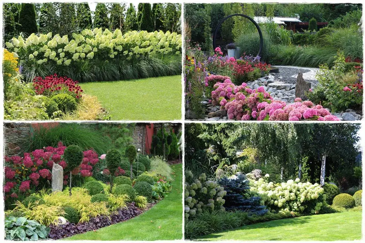 Piękne ogrody z hortensjami. Z czym łączyć te kwiaty, by stworzyć zachwycające kompozycje? Zobacz inspiracje!