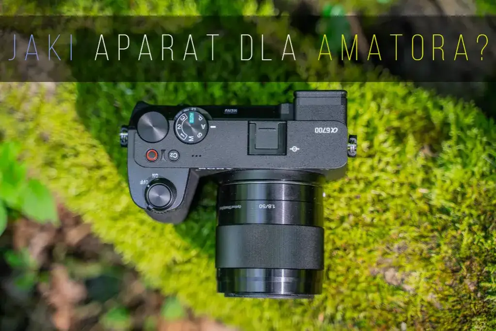 kolaż polecanych aparat&oacute;w fotograficznych dla początkujących 2025
