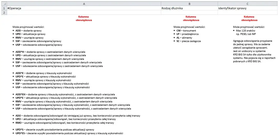 panel KRD wprowadzanie danych dłużnika