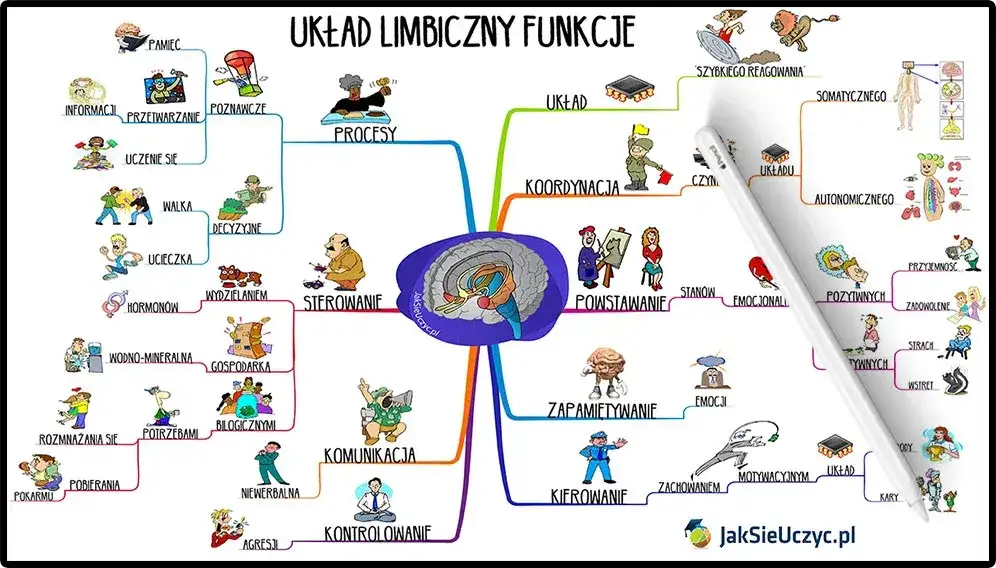 połączenie umysłu i ciała, psychologia, stres