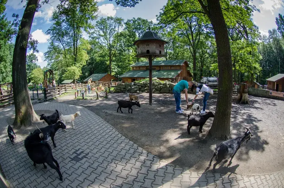 ZOO Ostrava wybiegi