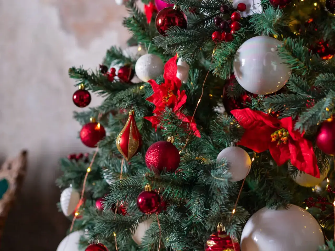 Choinka pełna czerwonych i białych ozdób, czerwonych poinsecji i światełek, jakby właśnie skończyliśmy ją ubierać, a jeszcze nie nadszedł czas, kiedy ściągamy ozdoby świąteczne.