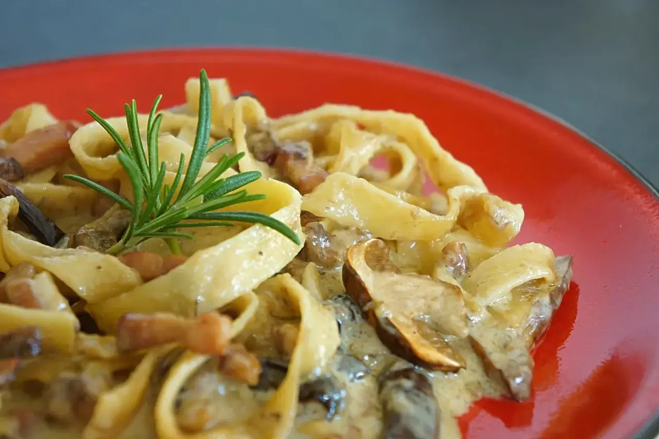 Tagliatelle z grzybami w kremowym sosie, udekorowane gałązką rozmarynu. Pyszny przepis na obiad.