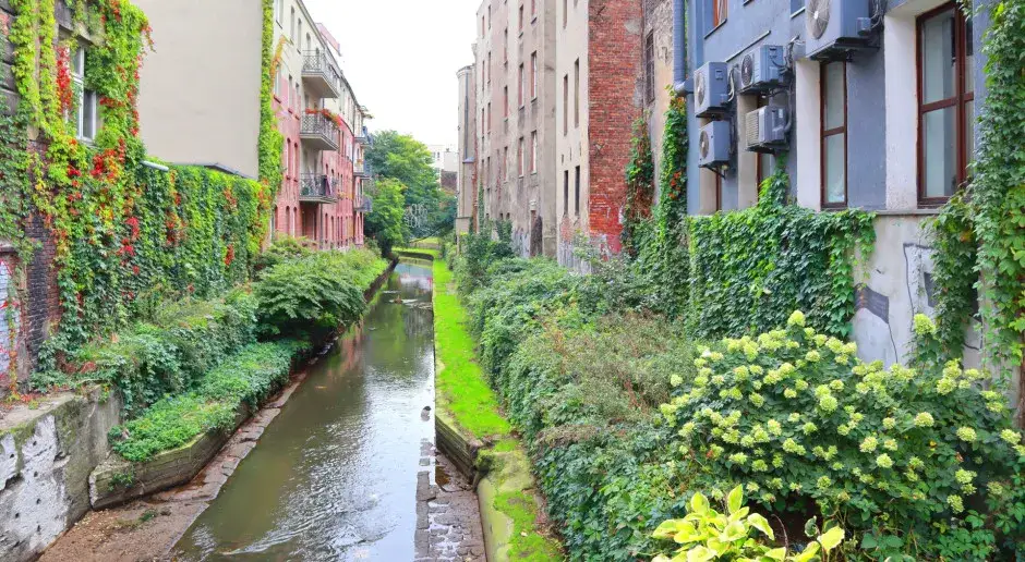 Zdjęcie Jaka rzeka przepływa przez Katowice? Odkryj tajemnice Rawy