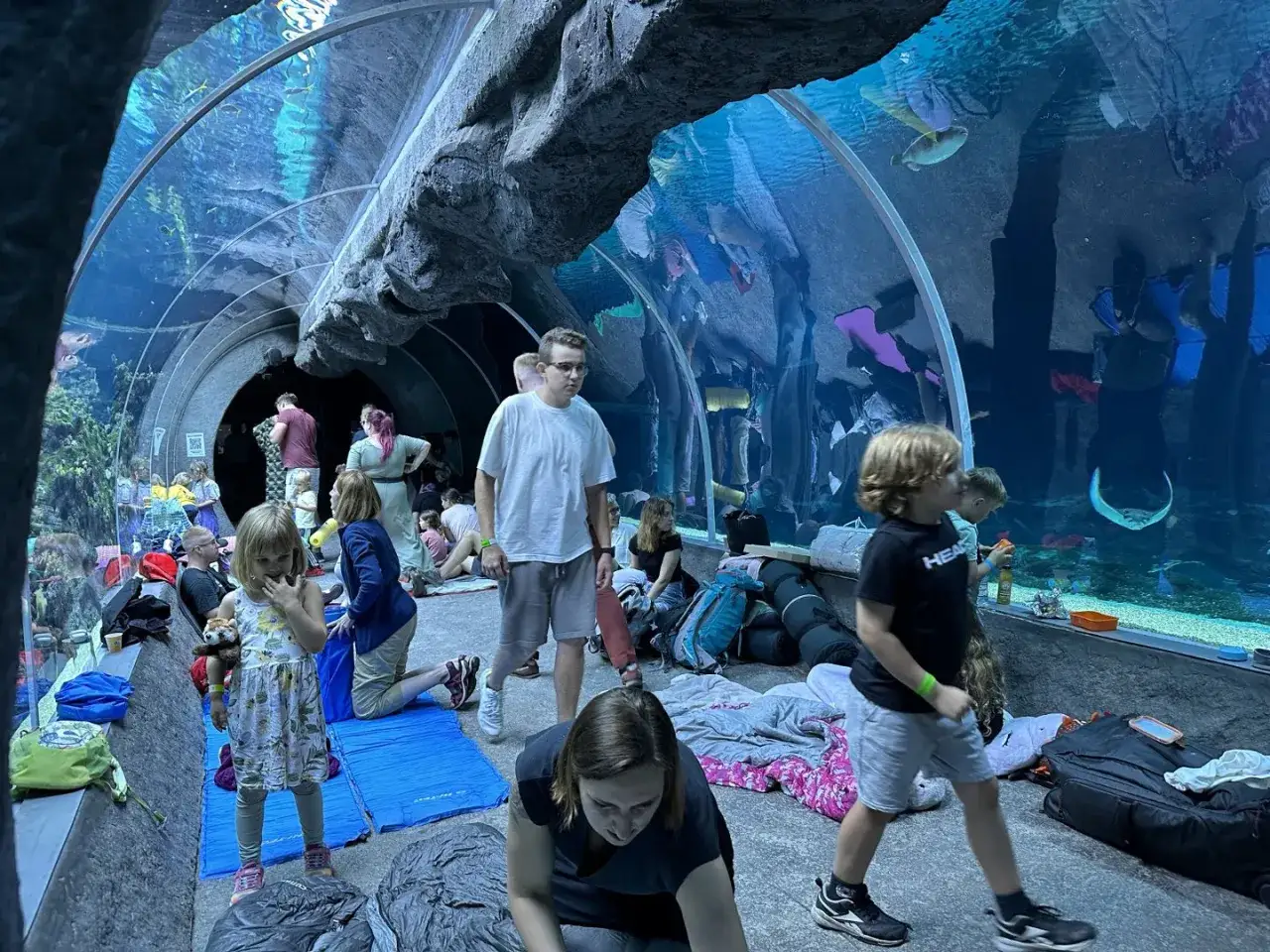 orientarium zoo łódź rodzina