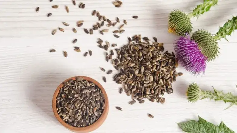 R&oacute;żne sposoby spożywania mielonego ostropestu (w wodzie, jogurcie)