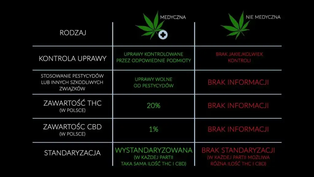r&oacute;żnice między THC i CBD w medycznej marihuanie infografika