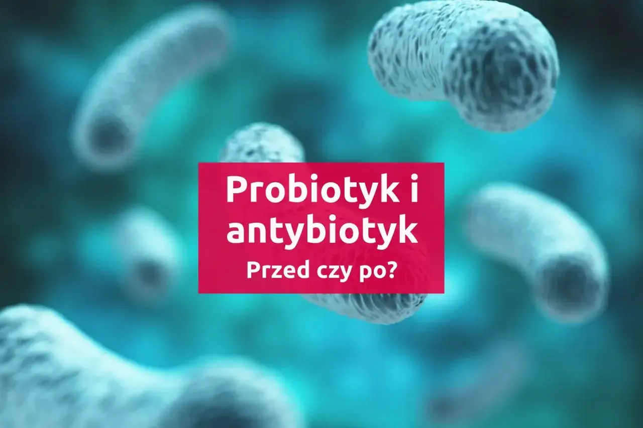 Probiotyk i antybiotyk: kiedy stosować? Grafika przedstawia bakterie w powiększeniu, z tekstem pytającym o kolejność przyjmowania probiotyku i antybiotyku.