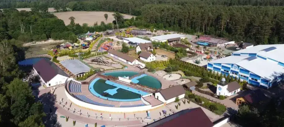 fokarium w Sea Park Sarbsk pokaz fok