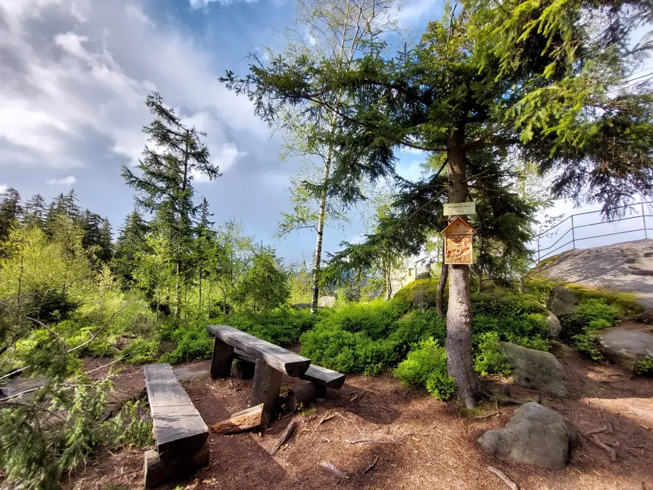 Polanica Zdr&oacute;j: Kamienna G&oacute;ra 704 m n.p.m. to piękne g&oacute;ry, idealne na odpoczynek przy drewnianej ławie.