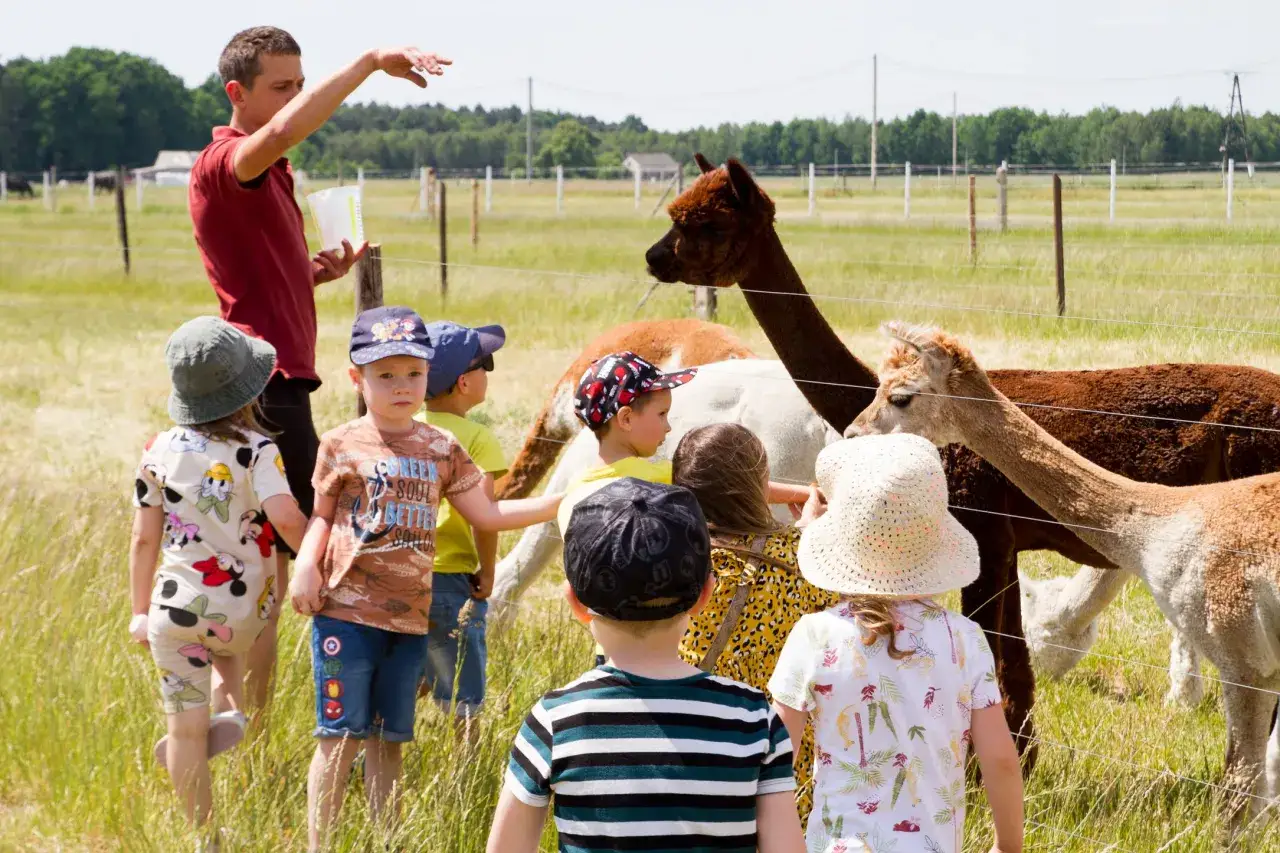 dzieci warsztaty zagroda edukacyjna alpaki