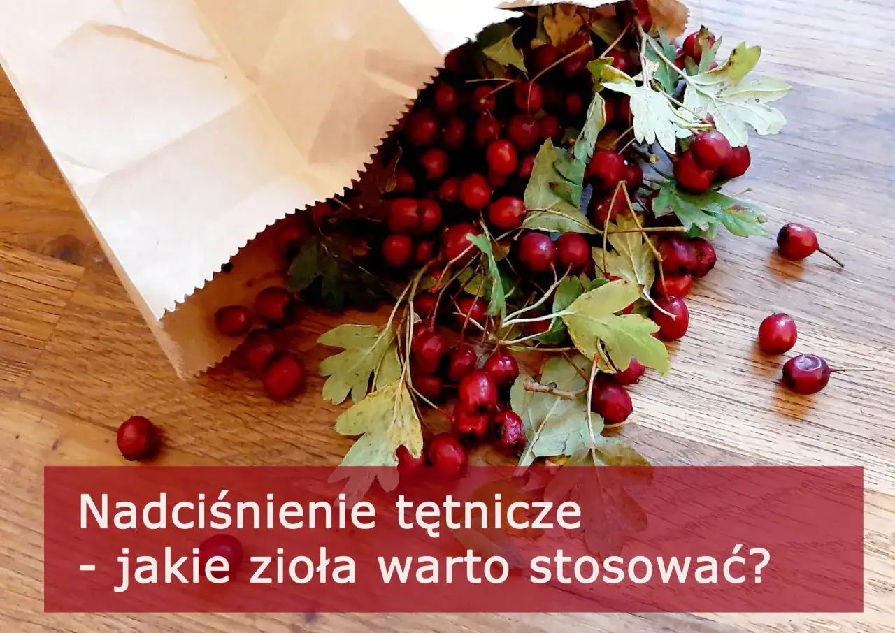 Dzika róża i głóg – naturalne sposoby, jak obniżyć wysokie ciśnienie. Jakie zioła warto stosować?