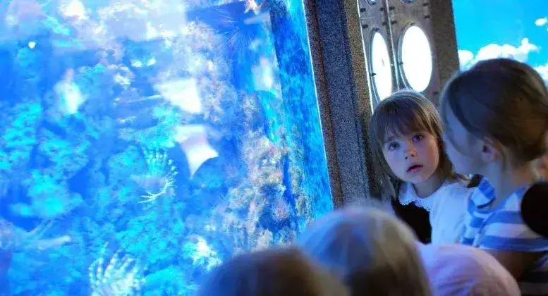 Akwarium Gdyńskie wnętrze tłumy