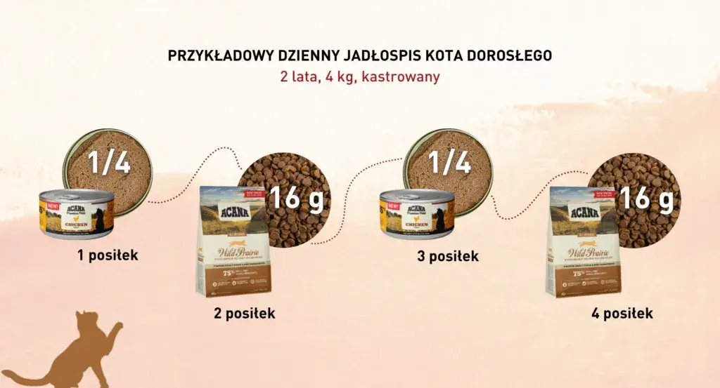 Zdjęcie Prawidłowe dawkowanie suchej karmy dla kota - poznaj najlepsze zasady karmienia