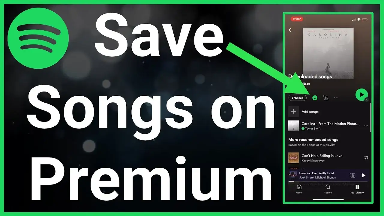Spotify Premium download music phone