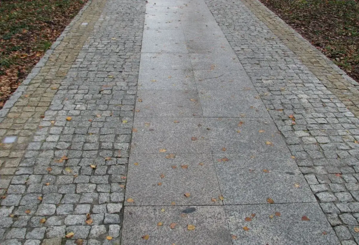 Chodnik do domu aranżacje: ścieżka z kostki brukowej i płyt granitowych, ozdobiona jesiennymi liśćmi.